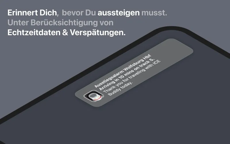 ICE Buddy for your Menu Bar screenshot 2
